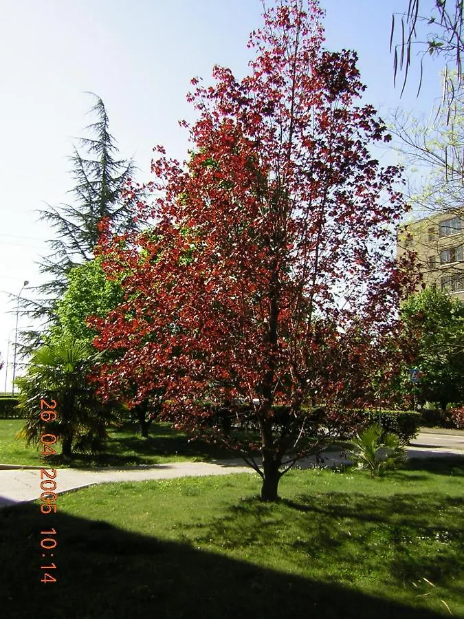 Acero Rosso B&B Apartment San Lazzaro di Savena